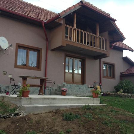 Novaci-Străini Casa Dariusヴィラ エクステリア 写真