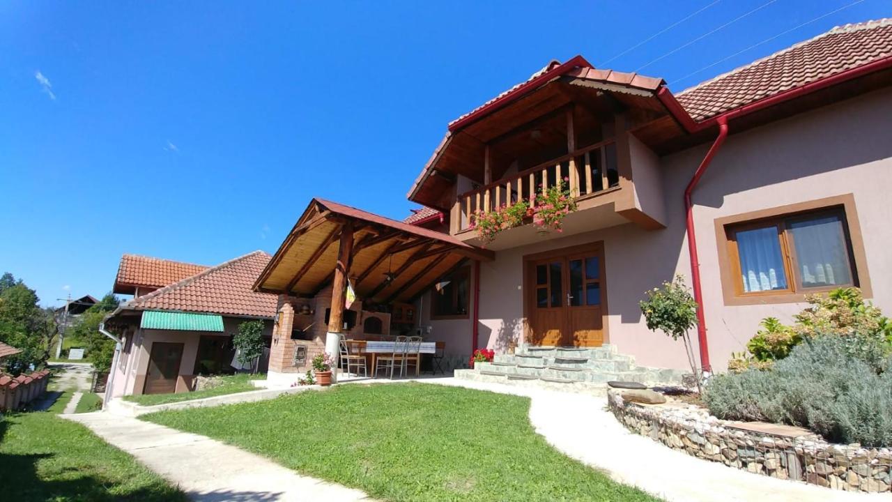 Novaci-Străini Casa Dariusヴィラ エクステリア 写真