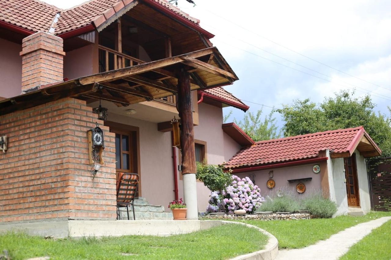 Novaci-Străini Casa Dariusヴィラ エクステリア 写真