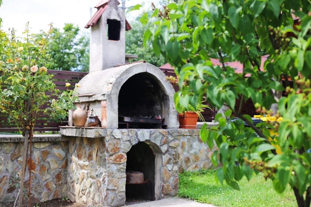 Novaci-Străini Casa Dariusヴィラ エクステリア 写真