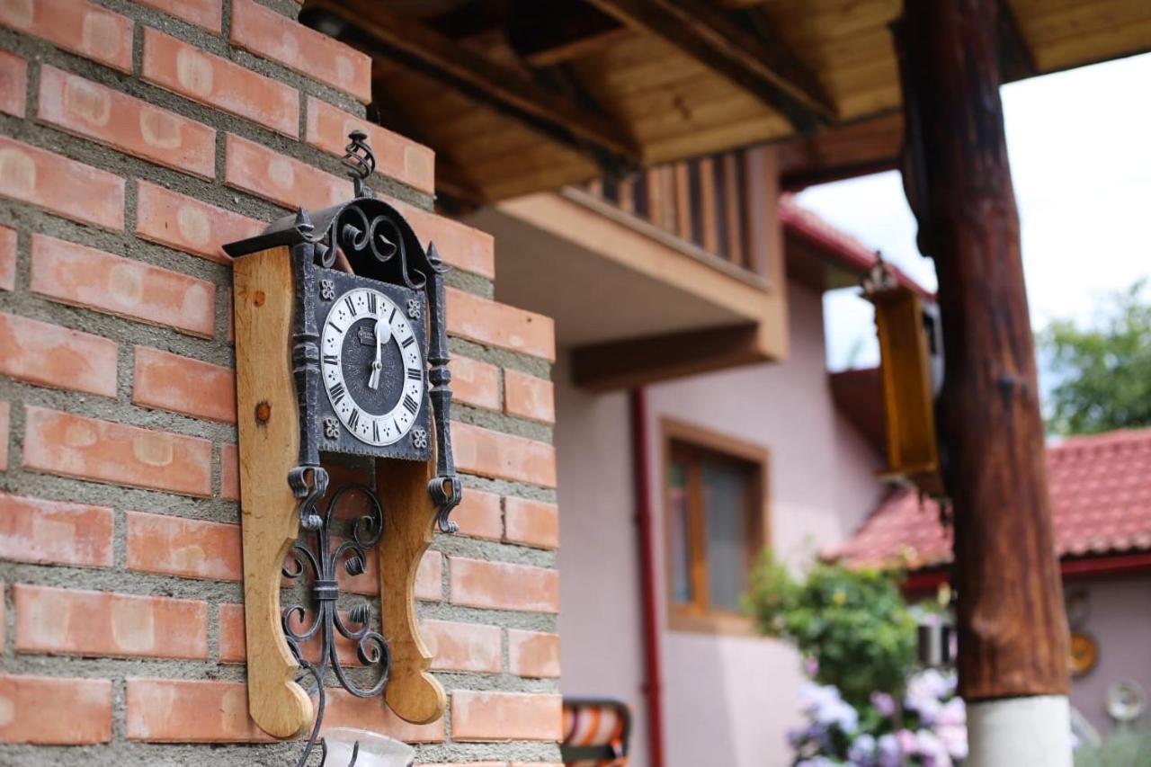 Novaci-Străini Casa Dariusヴィラ エクステリア 写真