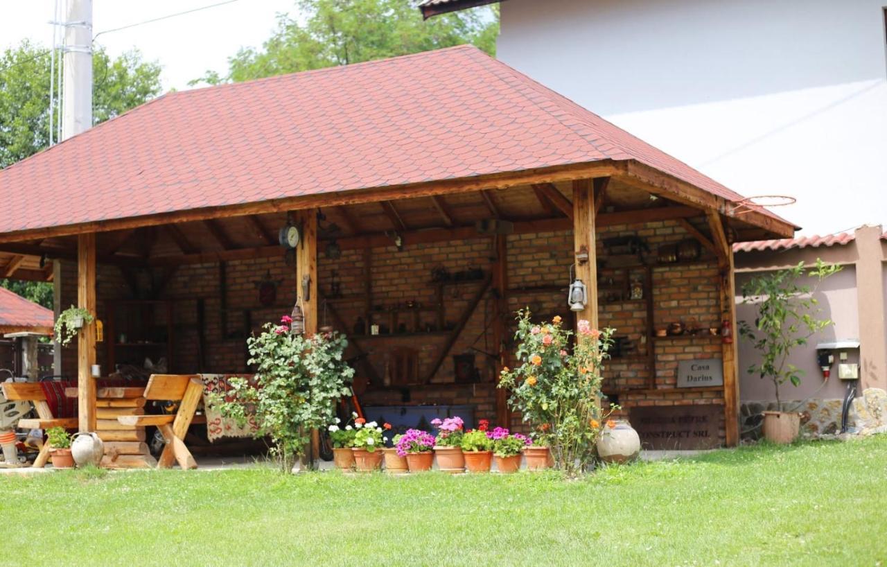 Novaci-Străini Casa Dariusヴィラ エクステリア 写真