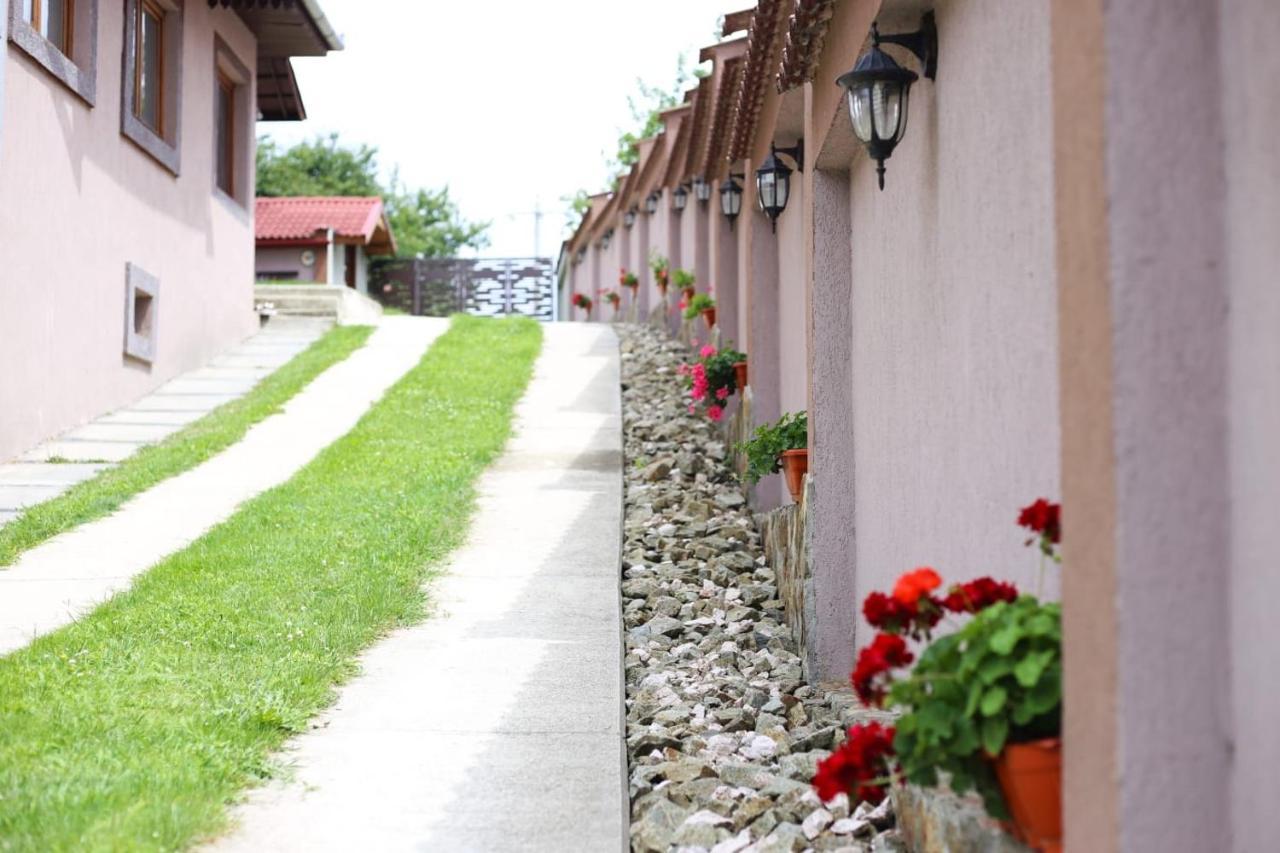 Novaci-Străini Casa Dariusヴィラ エクステリア 写真
