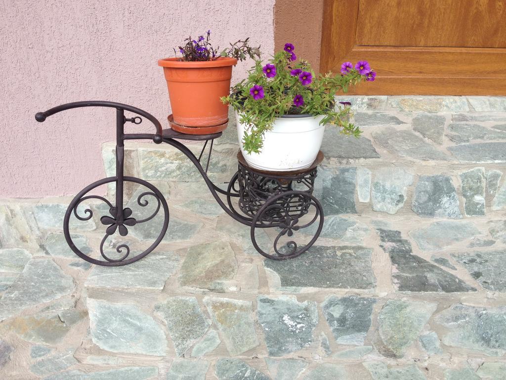 Novaci-Străini Casa Dariusヴィラ エクステリア 写真