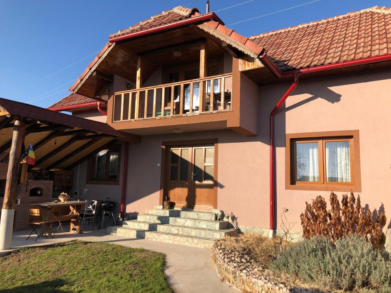 Novaci-Străini Casa Dariusヴィラ エクステリア 写真